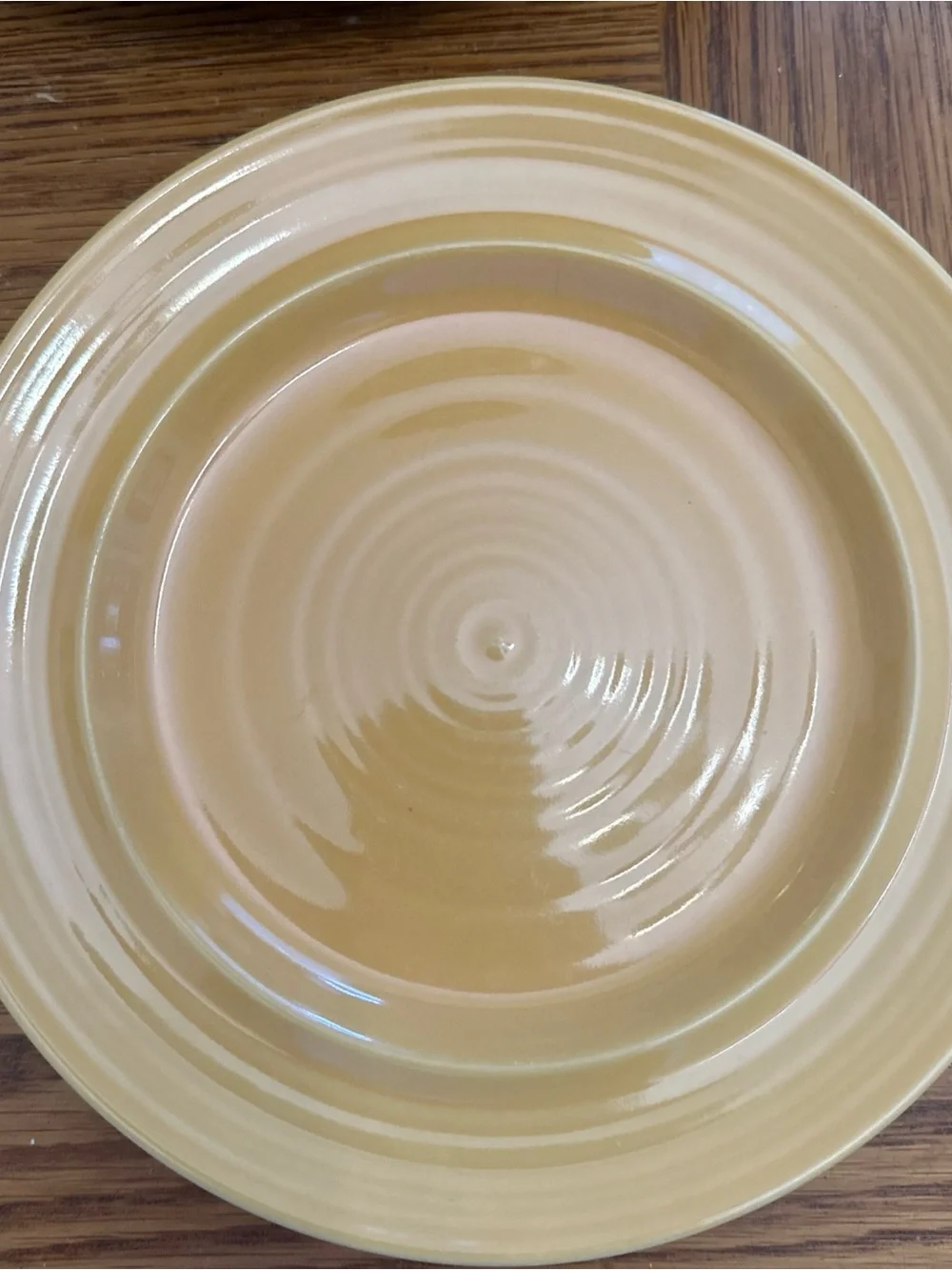 Pier 1 Ceramic Dinner Plate in Soft Yellow marigold